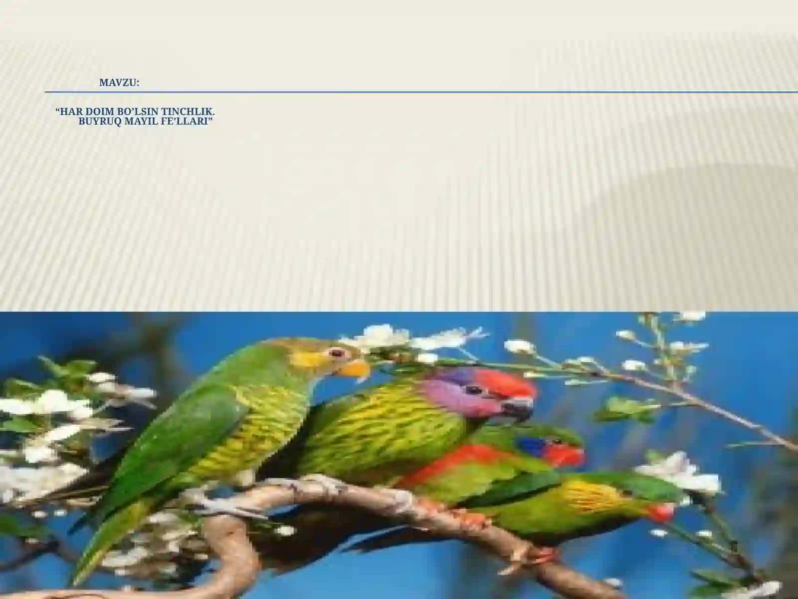 4-sinf O'zbek tili dars ishlanma. Buyruq mayli fe'llari 3