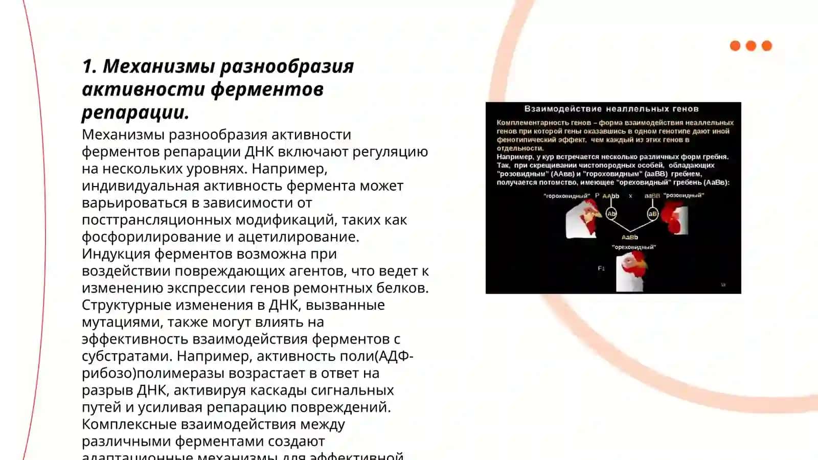 Механизмы разнообразия активности ферментов репарации 3