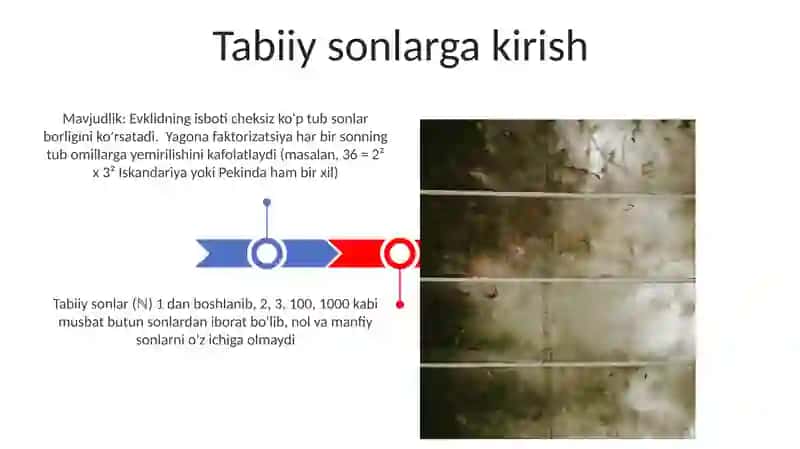 Tub sonlarning yagona faktorizatsiyasi 3