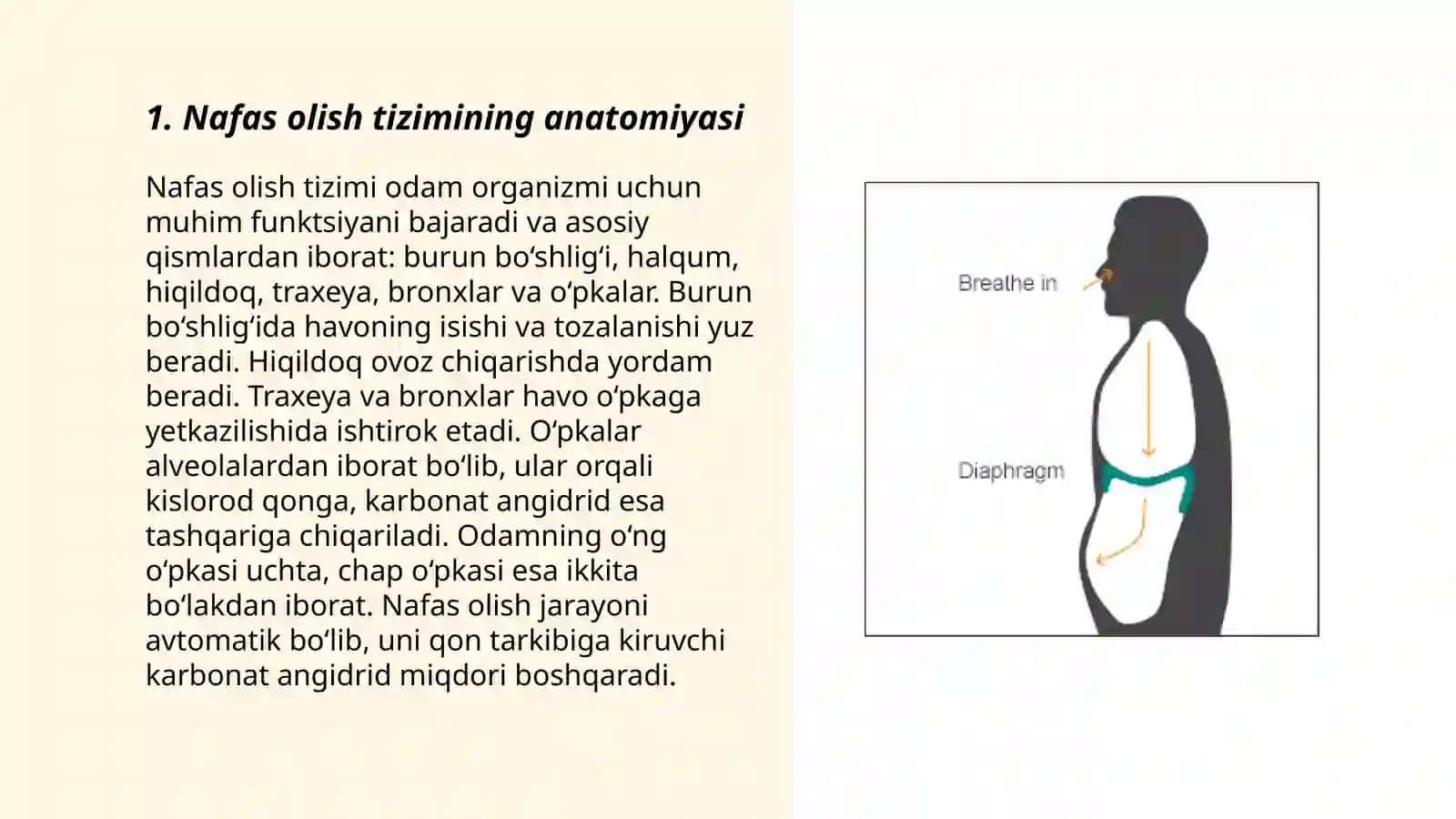 Nafas olish 3