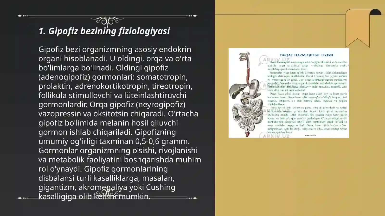 Ichki sekretsiya bezlari fiziologiyasi 3