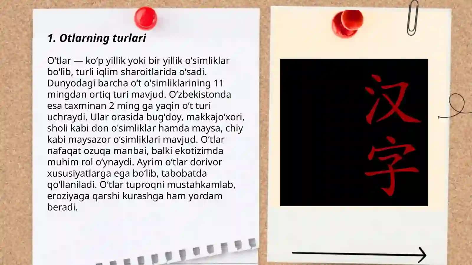 Otlarning turlari 3