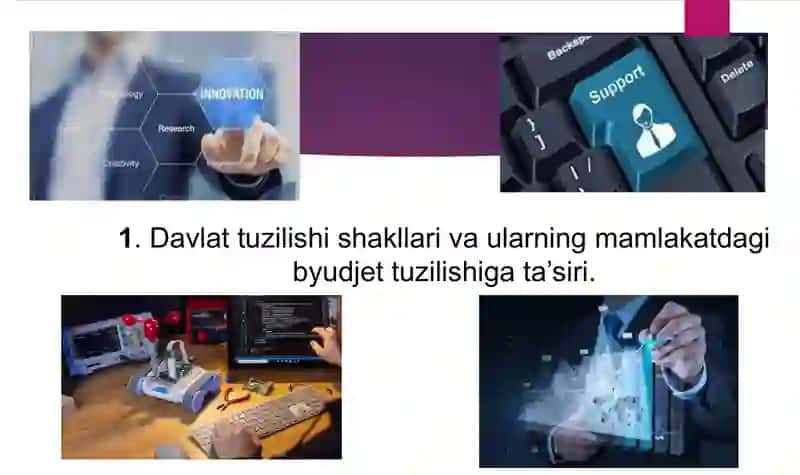 Davlat tuzilishi shakllari va ularning mamlakatdagi byudjet tuzilishiga ta’siri 3