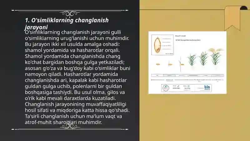 Oʻsimliklarning evolutsiyasida changlanish va urugʻlanish dagi moslanishlari 3