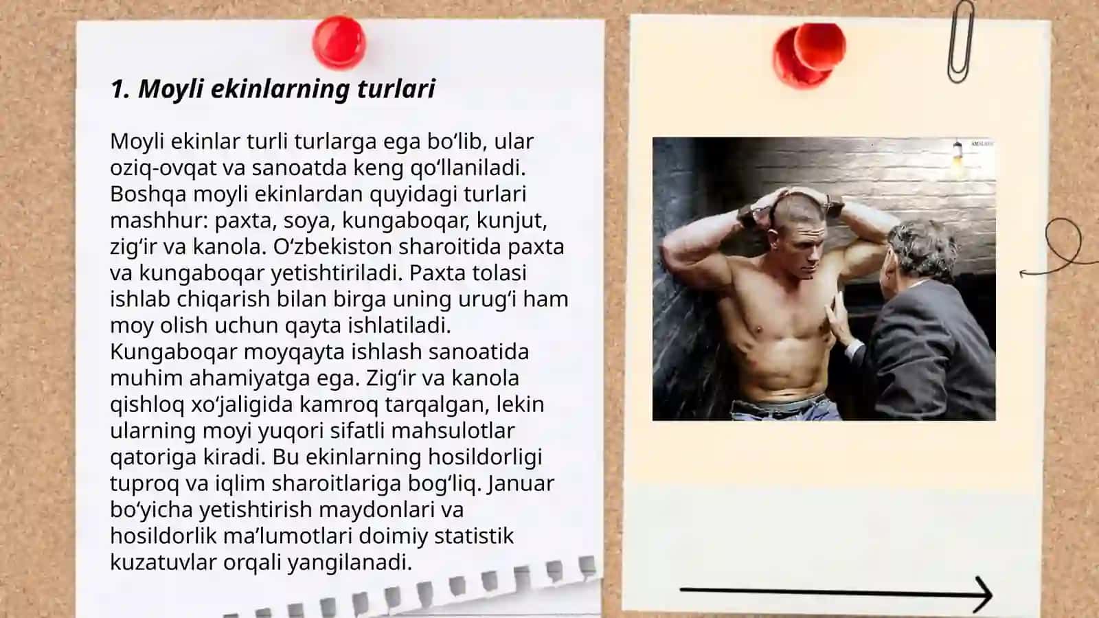 Moyli ekinlar va ularning ahamiyati 3