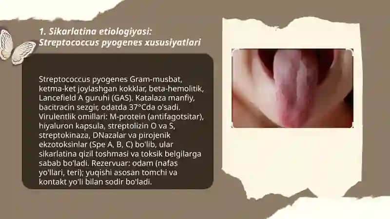 Sikarlatina kasalligining etialogiyasi epidemiologiyasi patogenezi va pirofilaktikasi 3