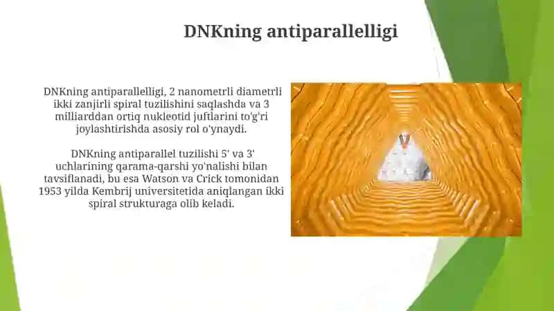 DNK TUZULISHI 3