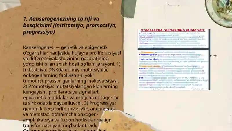 Kanserogenez, unda hujayra onkogenlarning ahamiyati 3