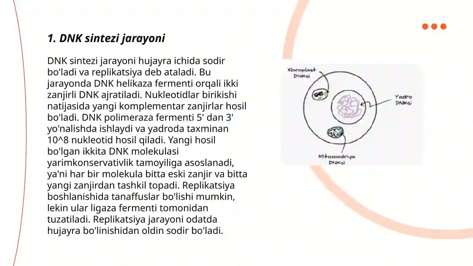 Hujayrada DNK va RNK sintezi xromatin va uning faoliyati hujayraning qayta tiklanishi endoreproduksiya 3