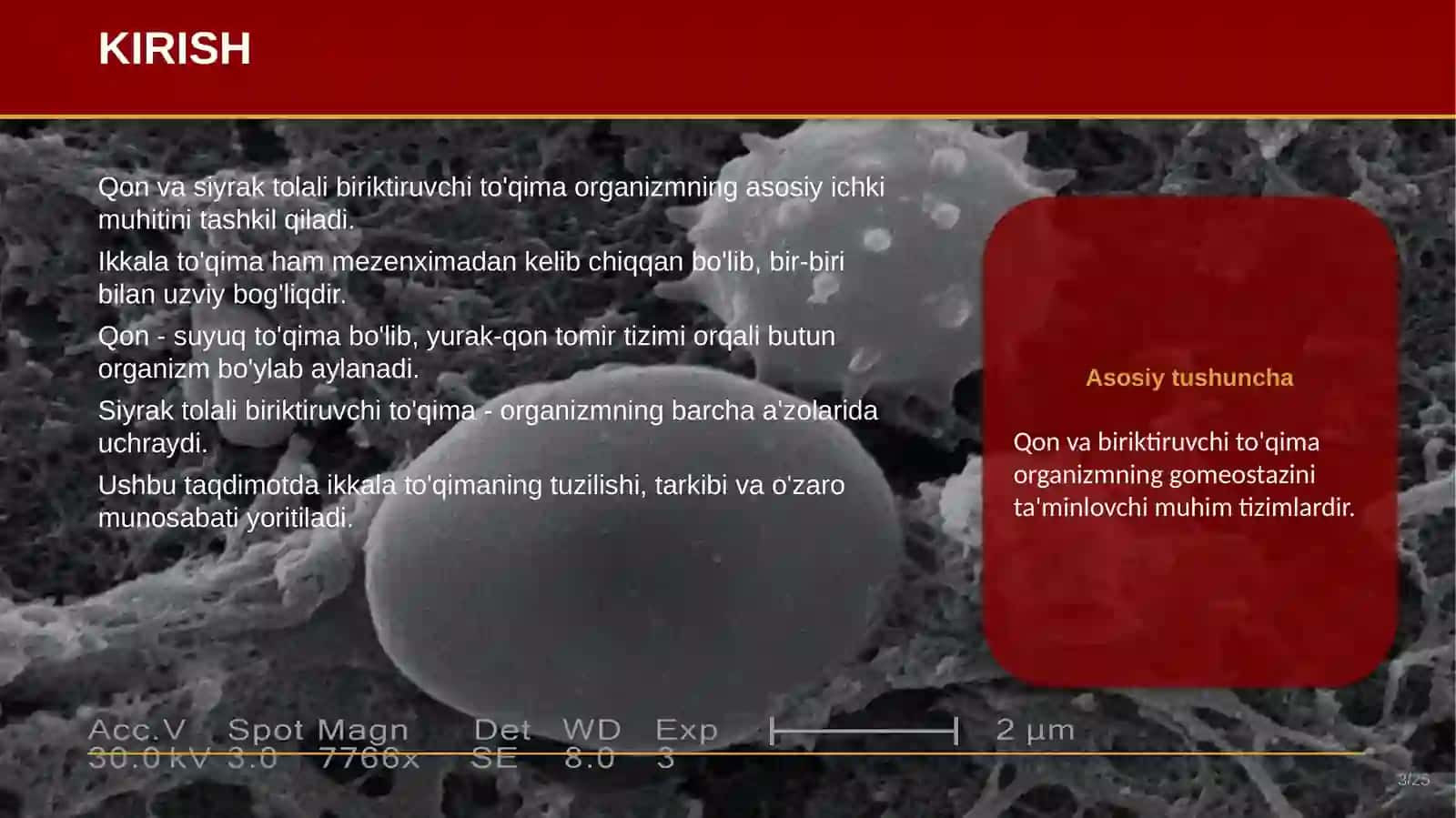 QON VA SIRAK TOLALI BIRIKTIRUVCHI TO'QIMALARNING O'ZARO MUNOSABATI 3