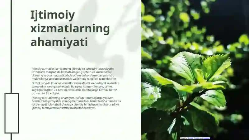 Ijtimoiy xizmatlar va ularning sifatini oshirish 3