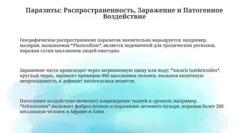 Презентация 3