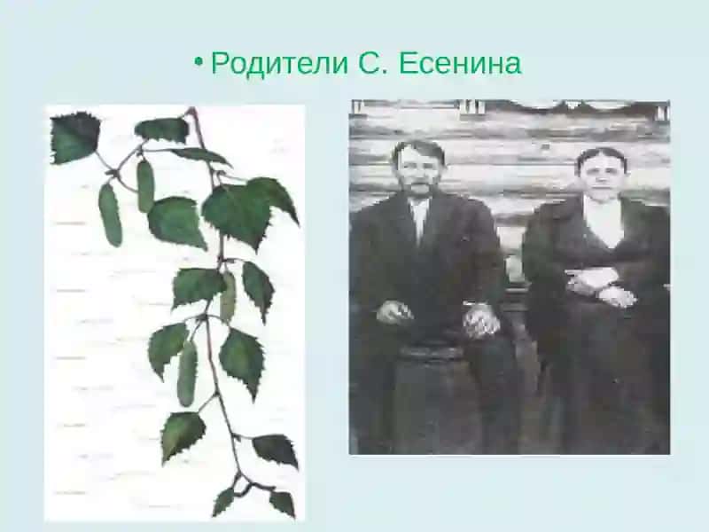 Сергей Александрович Есенин 3