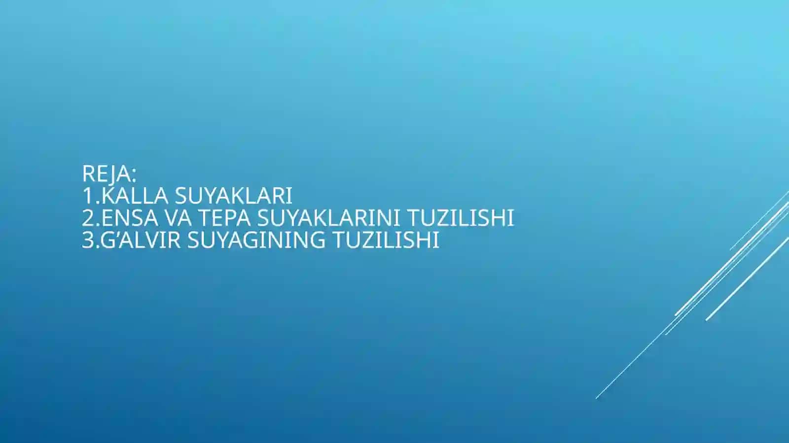 Kallasuyaklari tuzilishi 3