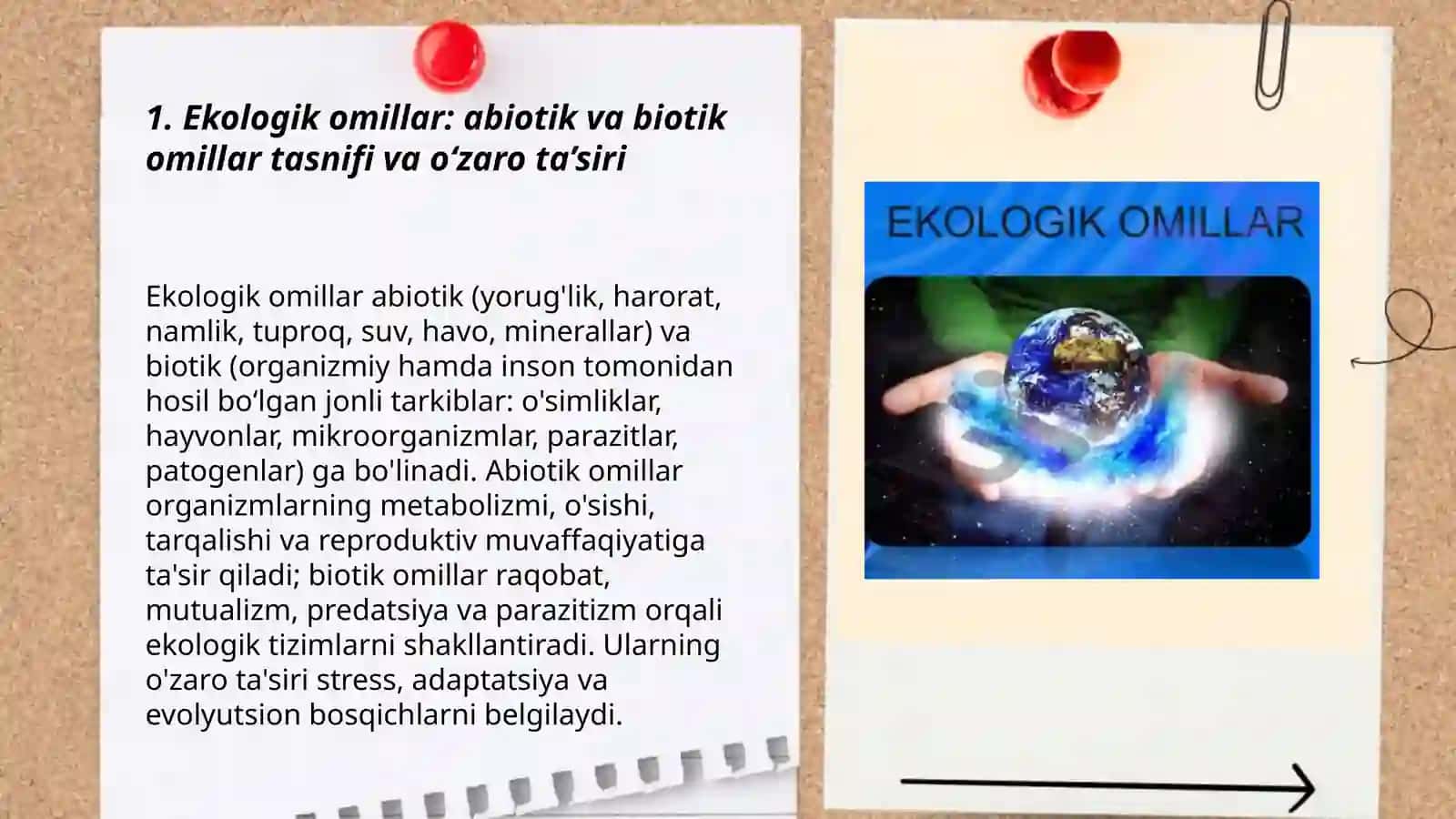 Turli ekologik omillarning tirik organizmlarga ta’siretish mexanizmlari 3