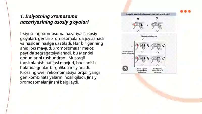 Irsiyotning xromosoma nazariyasi. T.G.Morgan. Genlarning birikish holati, krossingover. Belgilarning jinsga birikkan holda irsiylanishi. 3
