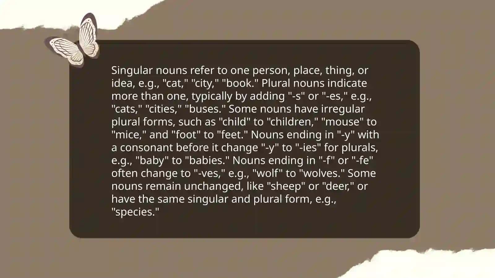 Singular and Plural Nouns 3