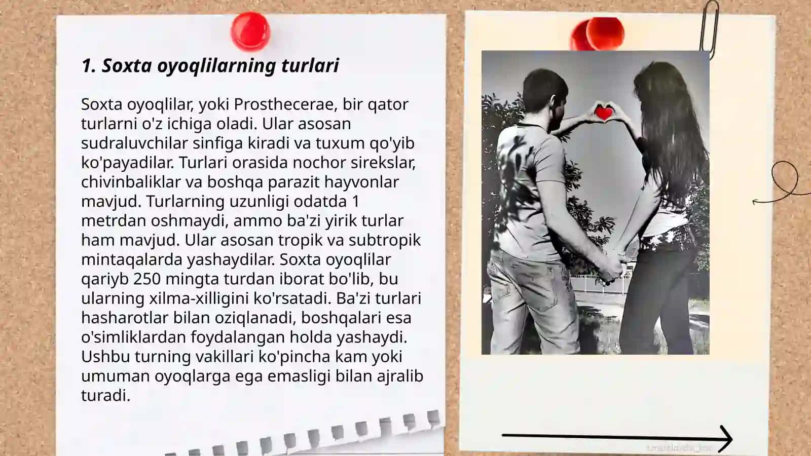 Parazitologiya fanidan mustaqil ish 3