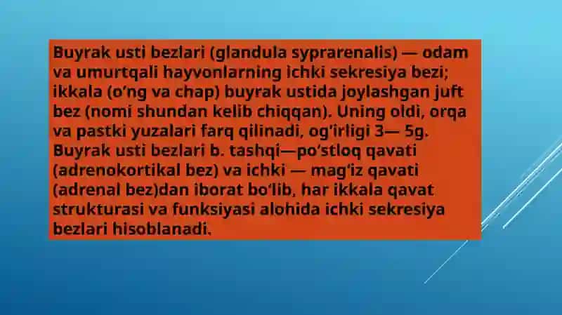 Stress holatida buyrak usti bezlari poʻstloği gormonlarining roli va hujayralarning morfologik koʻrinishlari 3