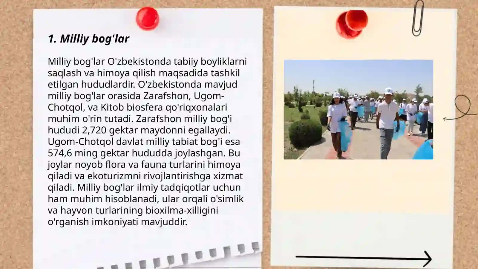 Xalqaro tabiatni muhofaza qilish uyushmasining muhofaza etiladigan tabiiy hududlar boʻyicha tasnifi 3