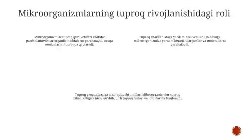 Organizmlar Va Tuproq Hosil BoʻLishi Hamda Geografiyasi 3