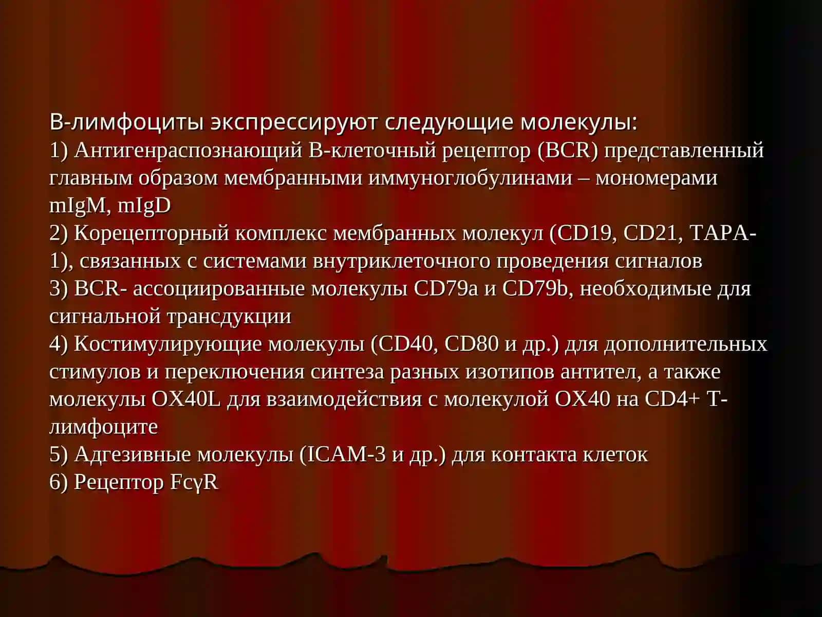 Презентация по иммунологии по теме «B-лимфоциты» 3