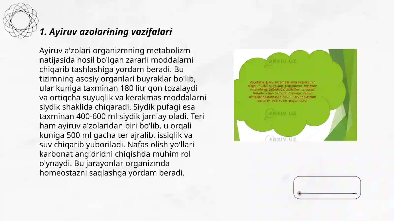 Ayiruv azolarining boshqarilishi va sezgi azolarining boshqarilishi by Mahammatova Noila 3
