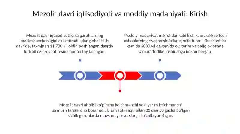 Mezolit davri xoʻjaligi va moddiy madaniyati 3