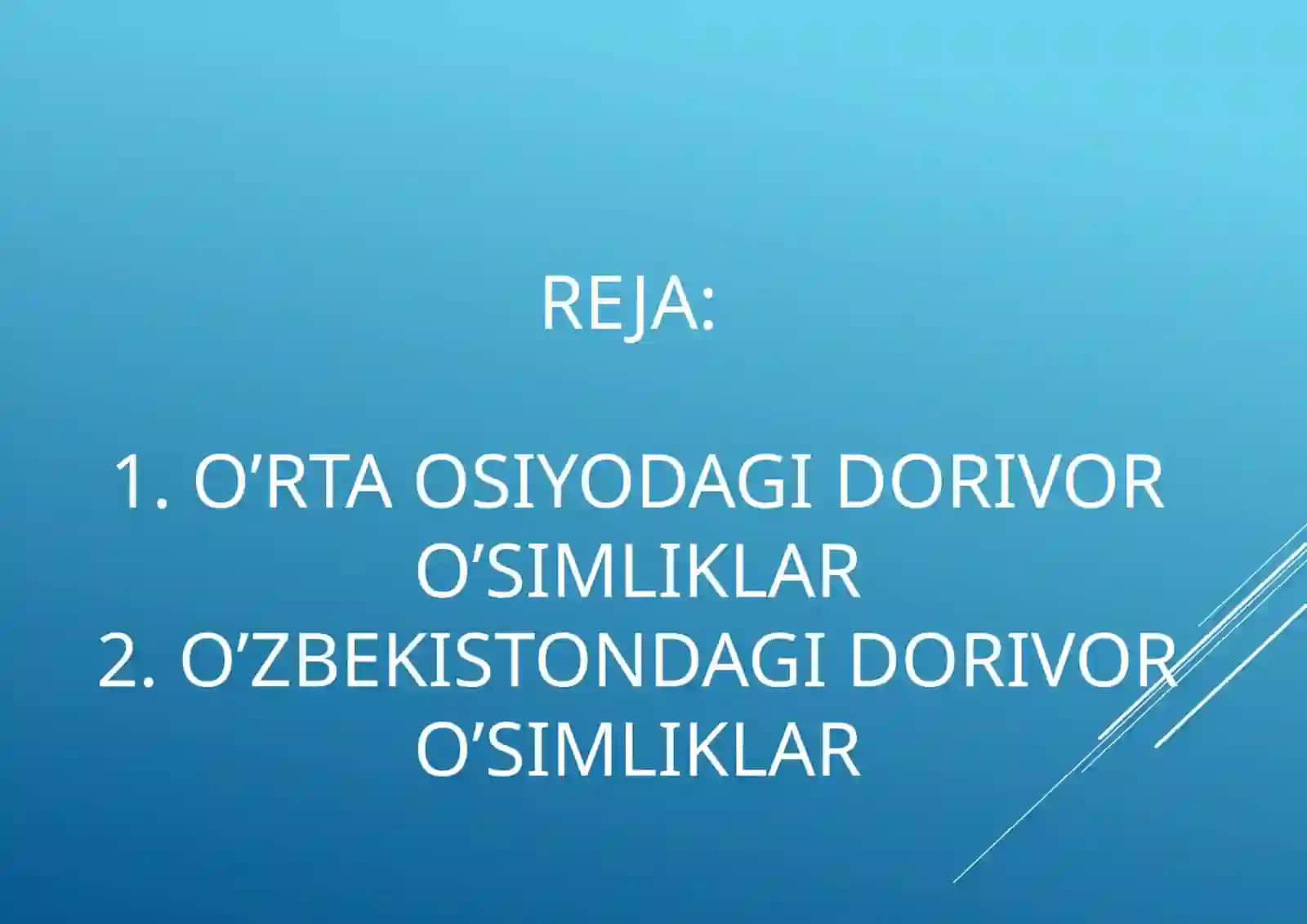 BERDIYEVA DINARANING DORIVOR O’SIMLIKLAR FANIDAN TAQDIMOTI 3
