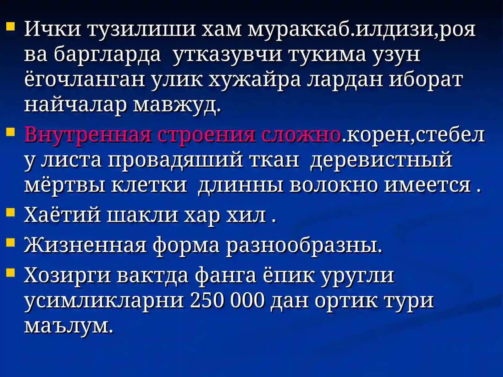 Ёпик уруглилар булими-отдель покрытосеменных (цветковые) 3