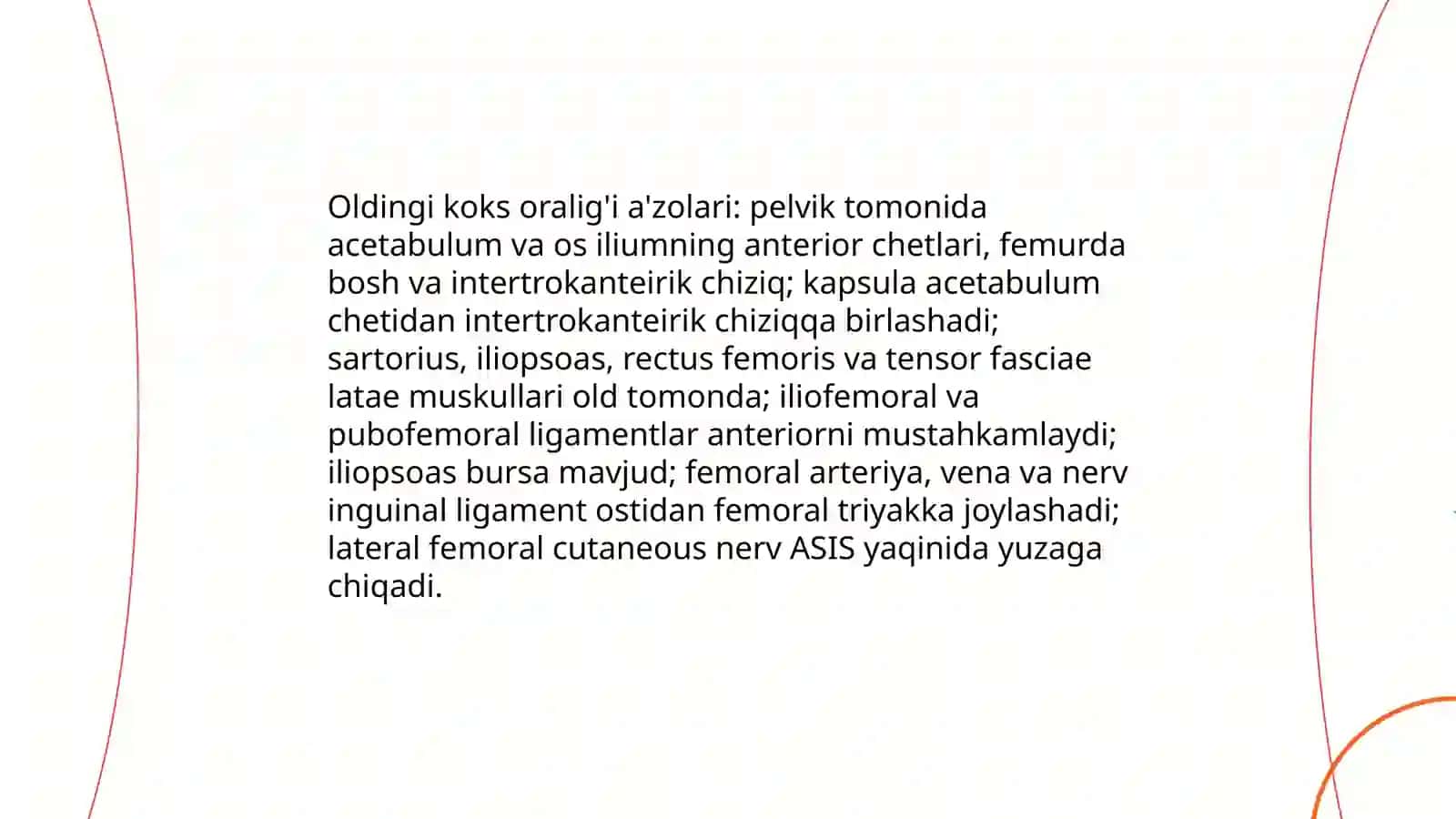 Oldingi va orqa koks oralig'i a'zolari topografik anatomiyasi va operativ jarrohligi 3