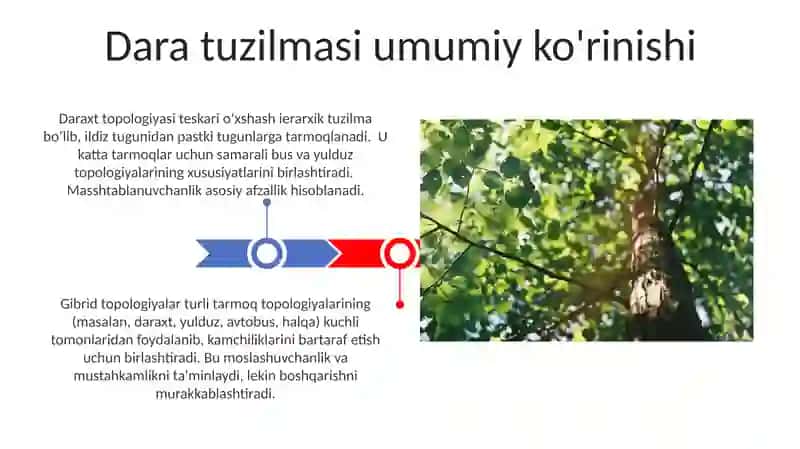 Kompyuter tarmoqlarining topologiyasi 3
