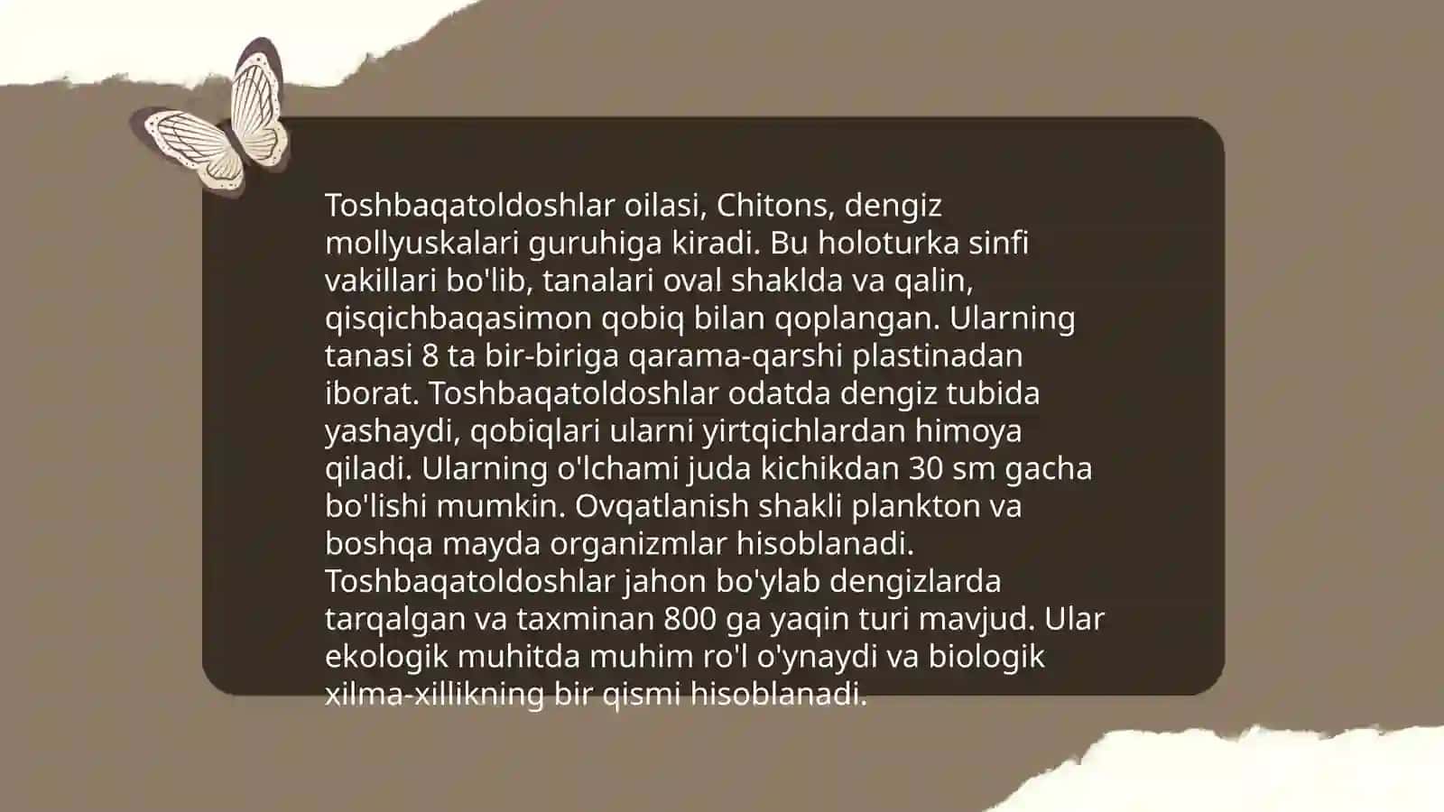 Toshbaqatoldoshlar oilasi 3