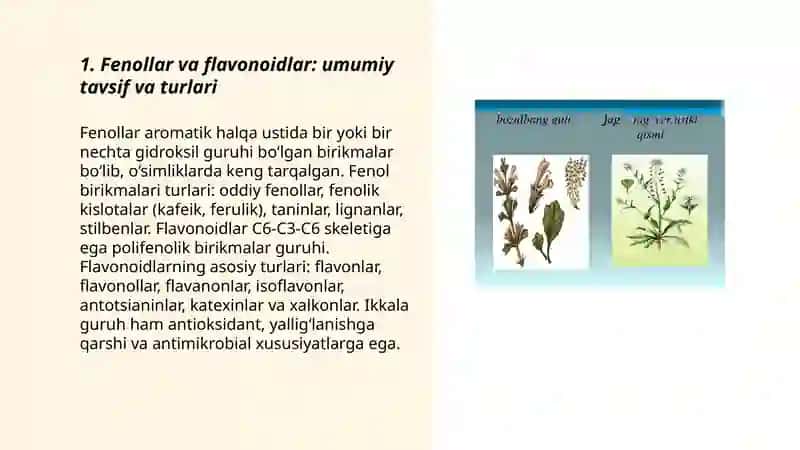 Tarkibida fenollar va flavonoidlar bo‘lgan dorivor o‘simliklar 3