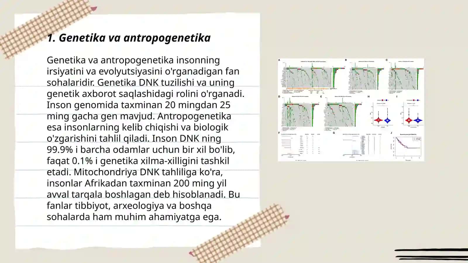 ANTROPOGENETIKA USULLARI: SHAJARA USULI, EGIZAKLAR USULI 3
