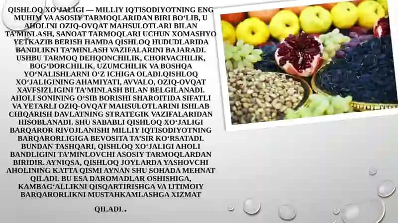 Qishloqxo’jaligining milliy iqtisodiyotda tutgan o‘rni 3