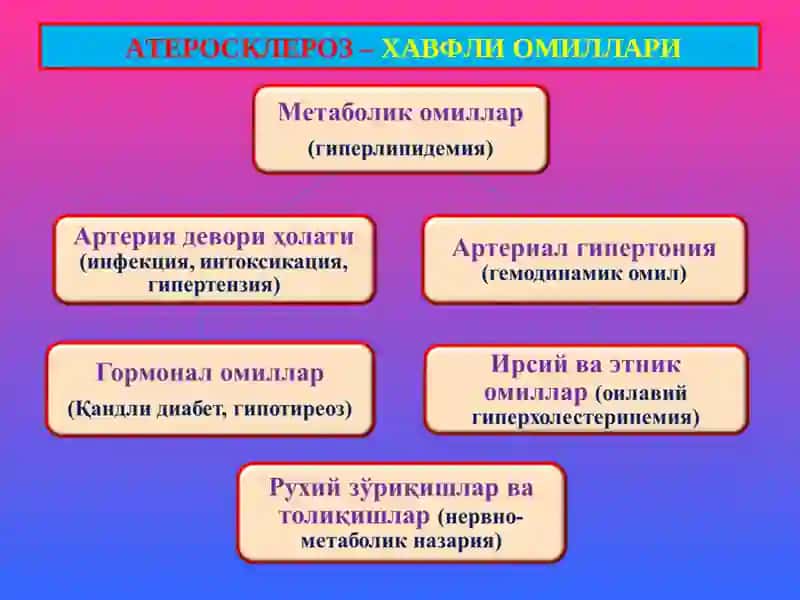 Қон томирлар патологияси. Томир аномалиялари. Гипертензия. Атеросклероз. Аневризмалар. Юрак патологияси Туғма юрак пороклари. ЮИК. 3