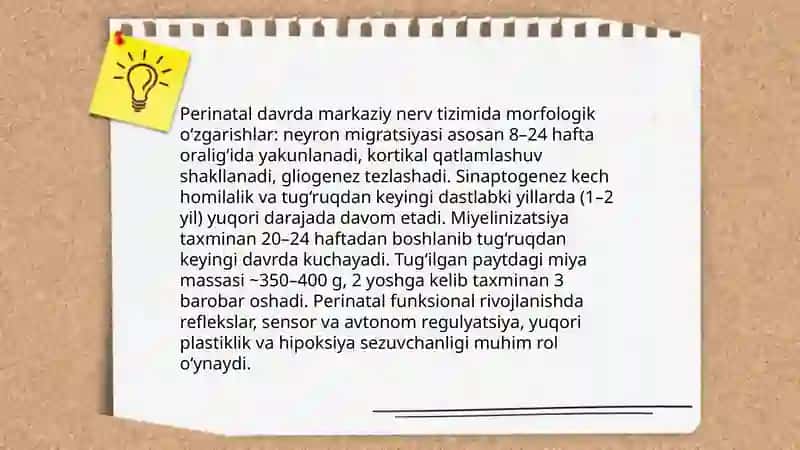 Perinatal va chaqaloqlik davrida pisixofiziologik rivojlanishga xos xususiyatlari 3