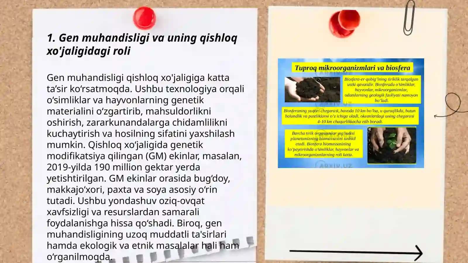 Biologik atamalarni hayotda va fanda ishlatilishi 3
