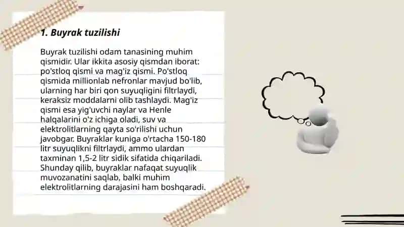 Buyrak fiziolagiyasi 3