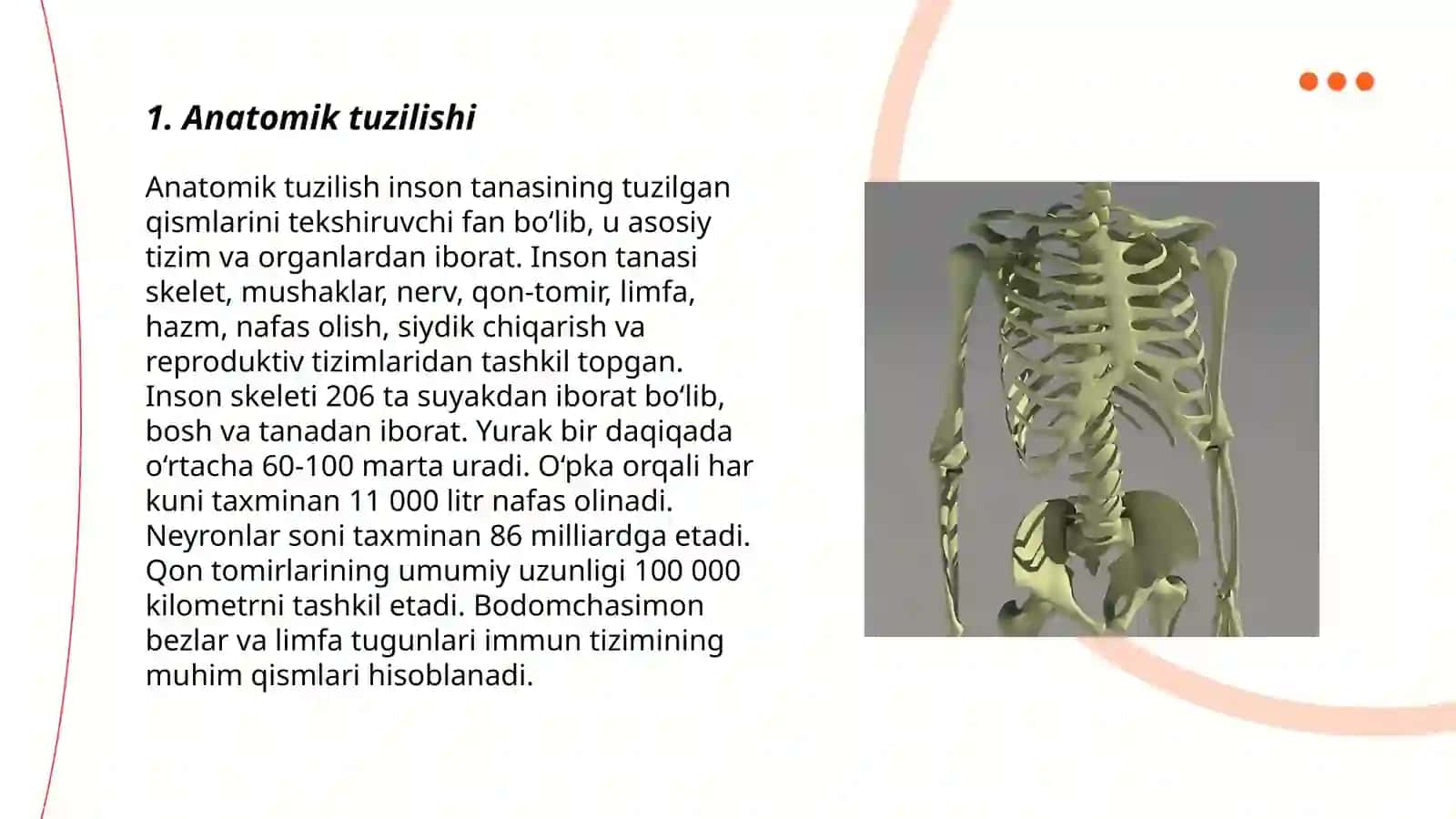 Koʼkrak qafasi suyaklari 3