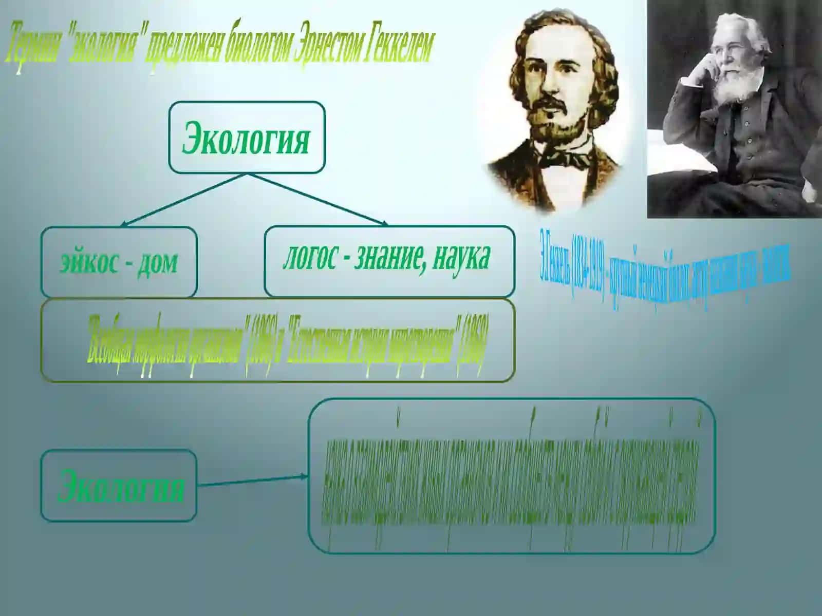 Экология 3