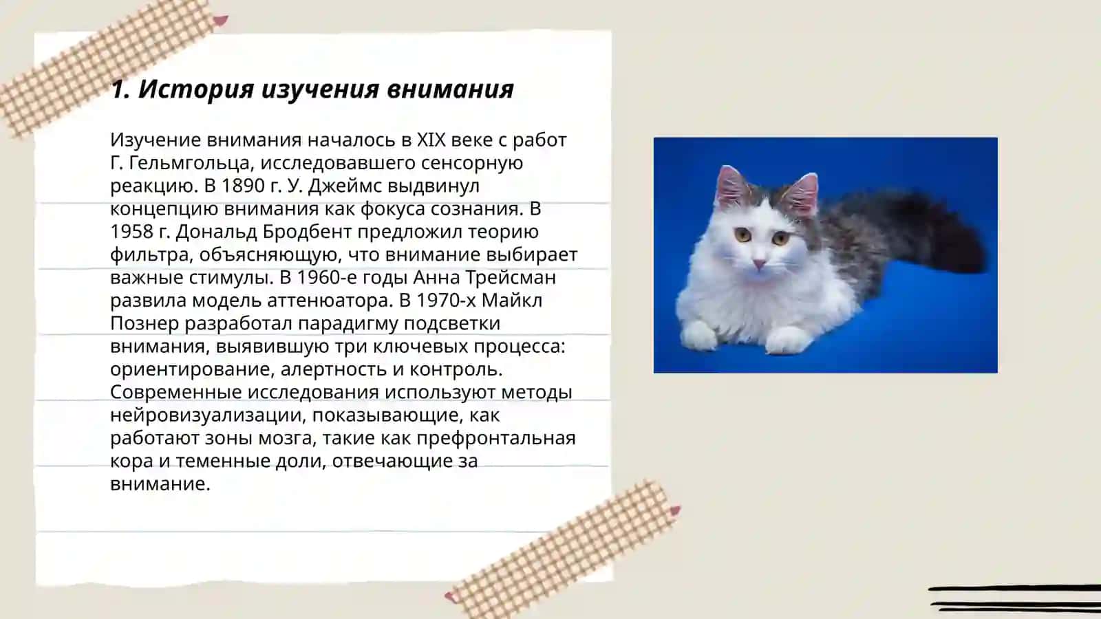 Особенности внимания объем внимания распределение внимания 3