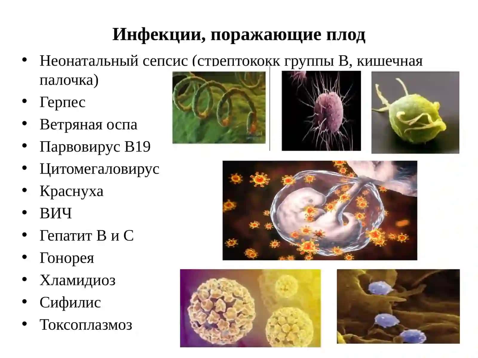 ВЕДЕНИЕ БЕРЕМЕННЫХ С ХРОНИЧЕСКИМИ И ОСТРЫМИ БАКТЕРИАЛЬНЫМИ И/ИЛИ ВИРУСНЫМИ ИНФЕКЦИЯМИ 3