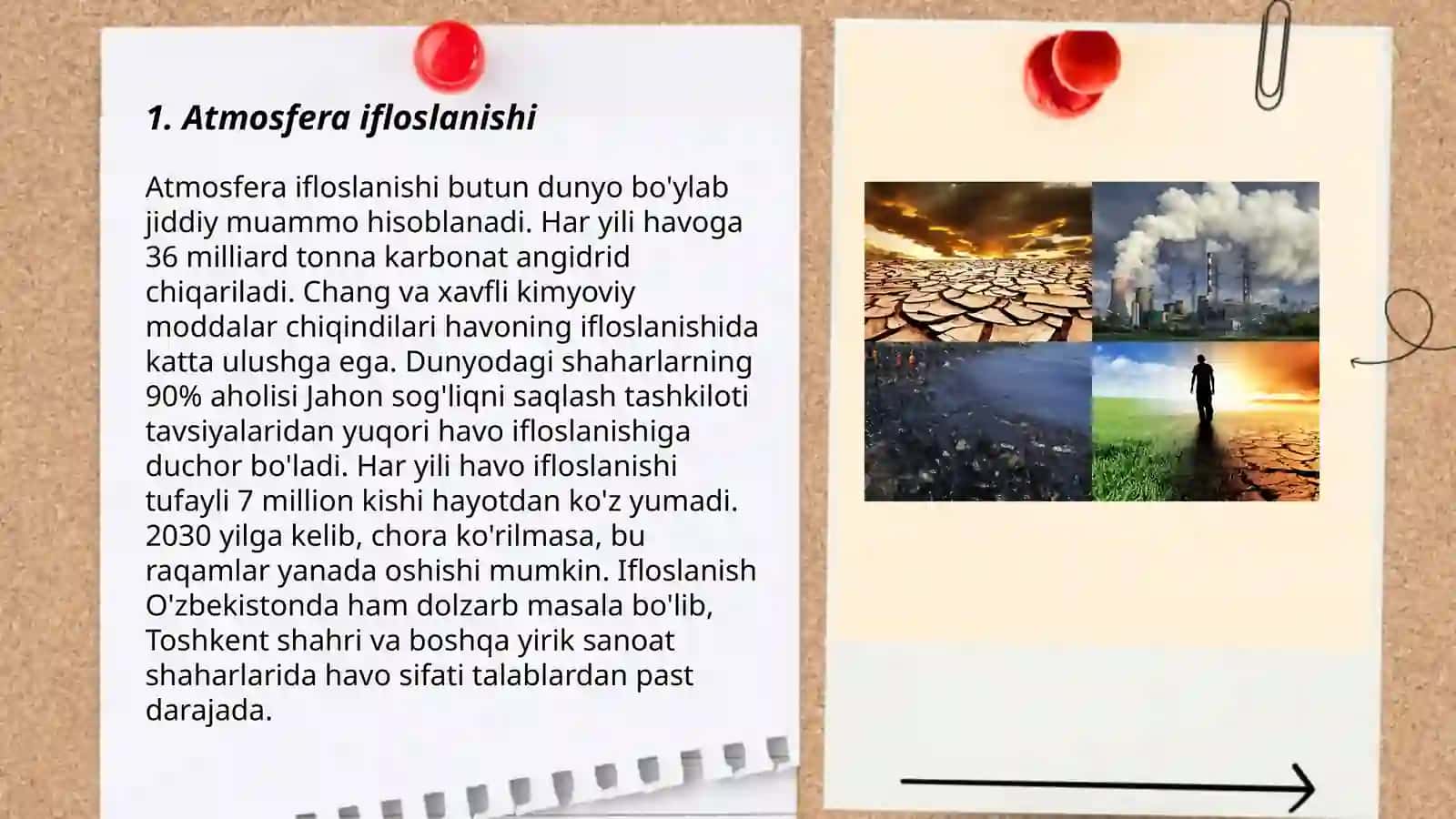 Ekologik muomolar 3
