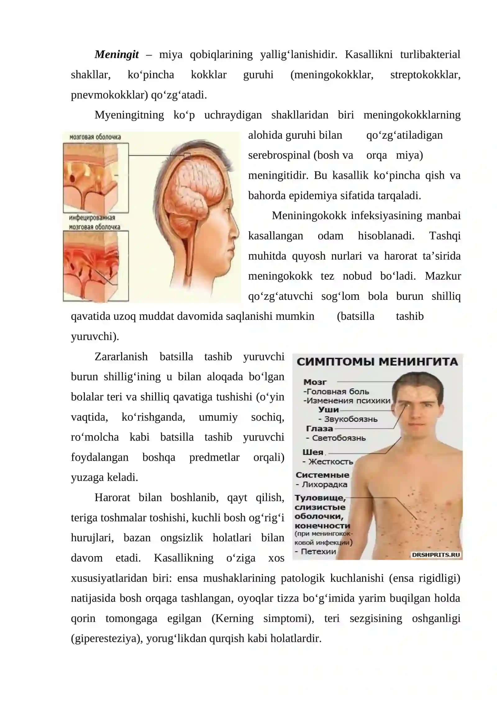 Bosh miya yarim sharlarining oliy faoliyati nerv tizimining kasalliklari 3