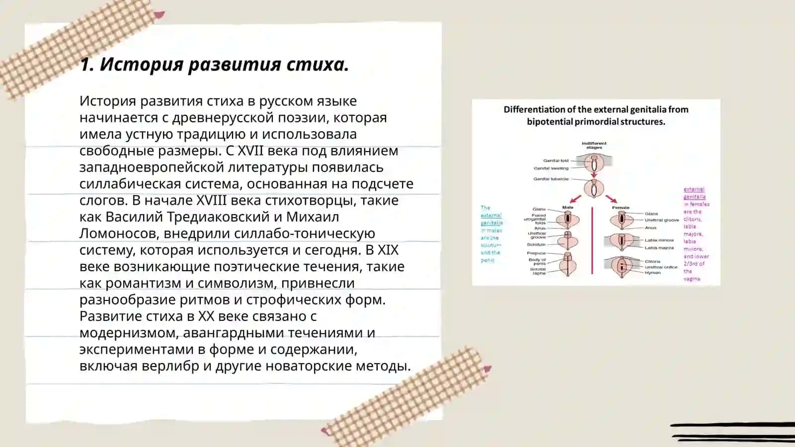 Стих и проза как основные виды художественной речи 3