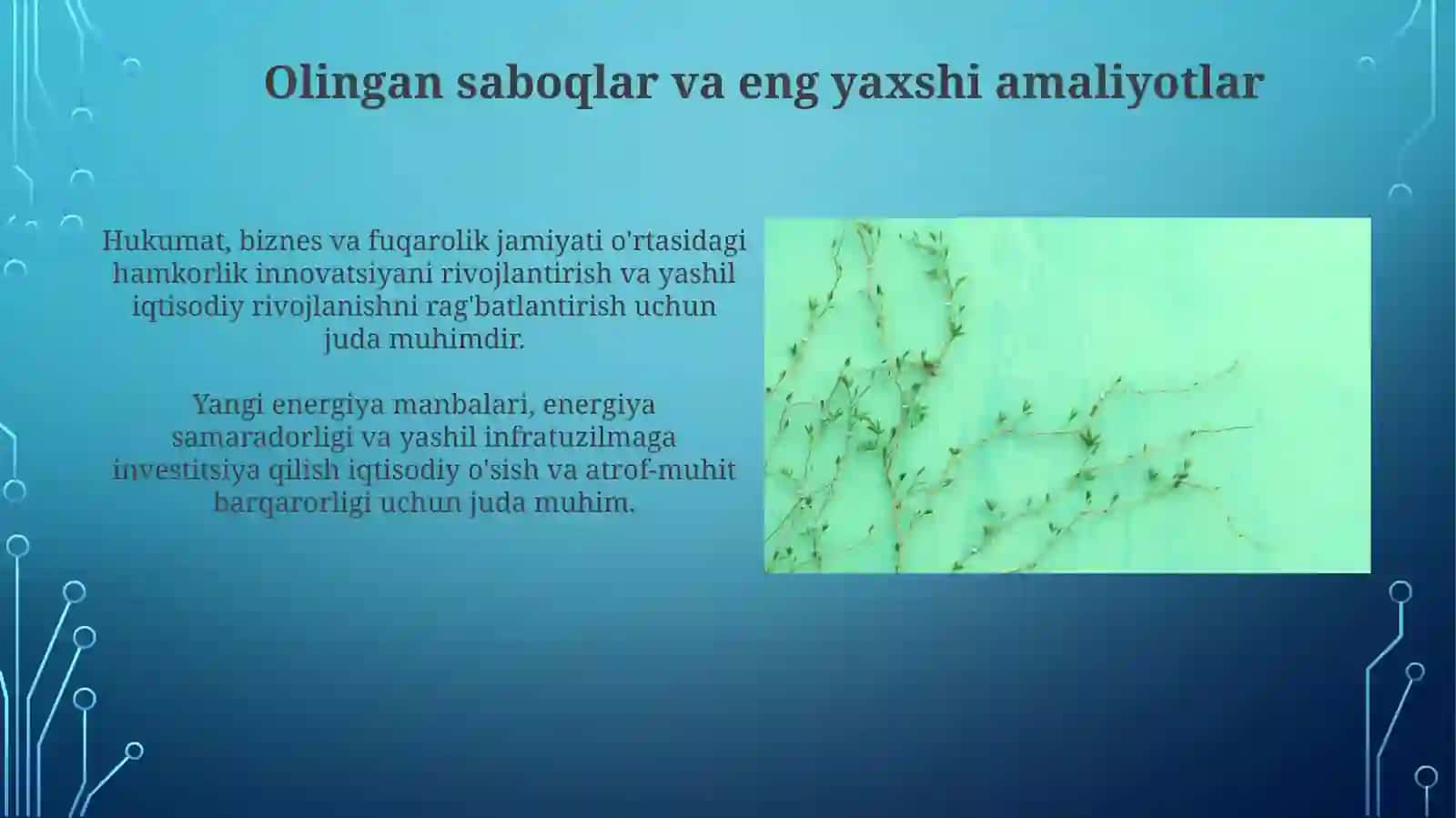 Yashiliqtisodiyotgaoʻtishxorijtajribasi 3