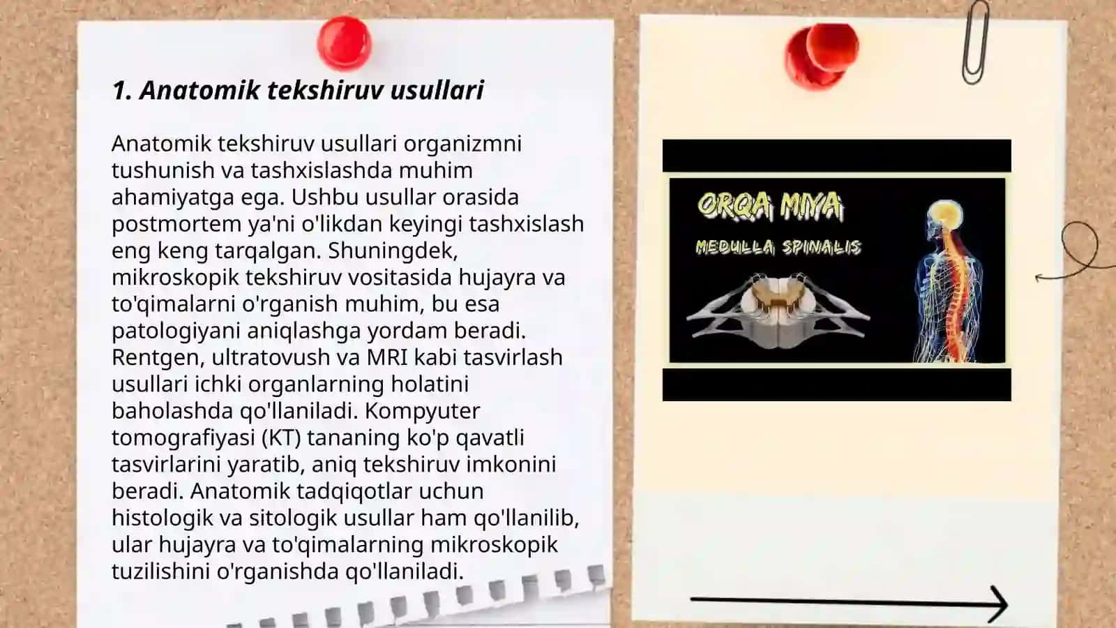 Anatomiya usullari Tana õqi va sathlari 3