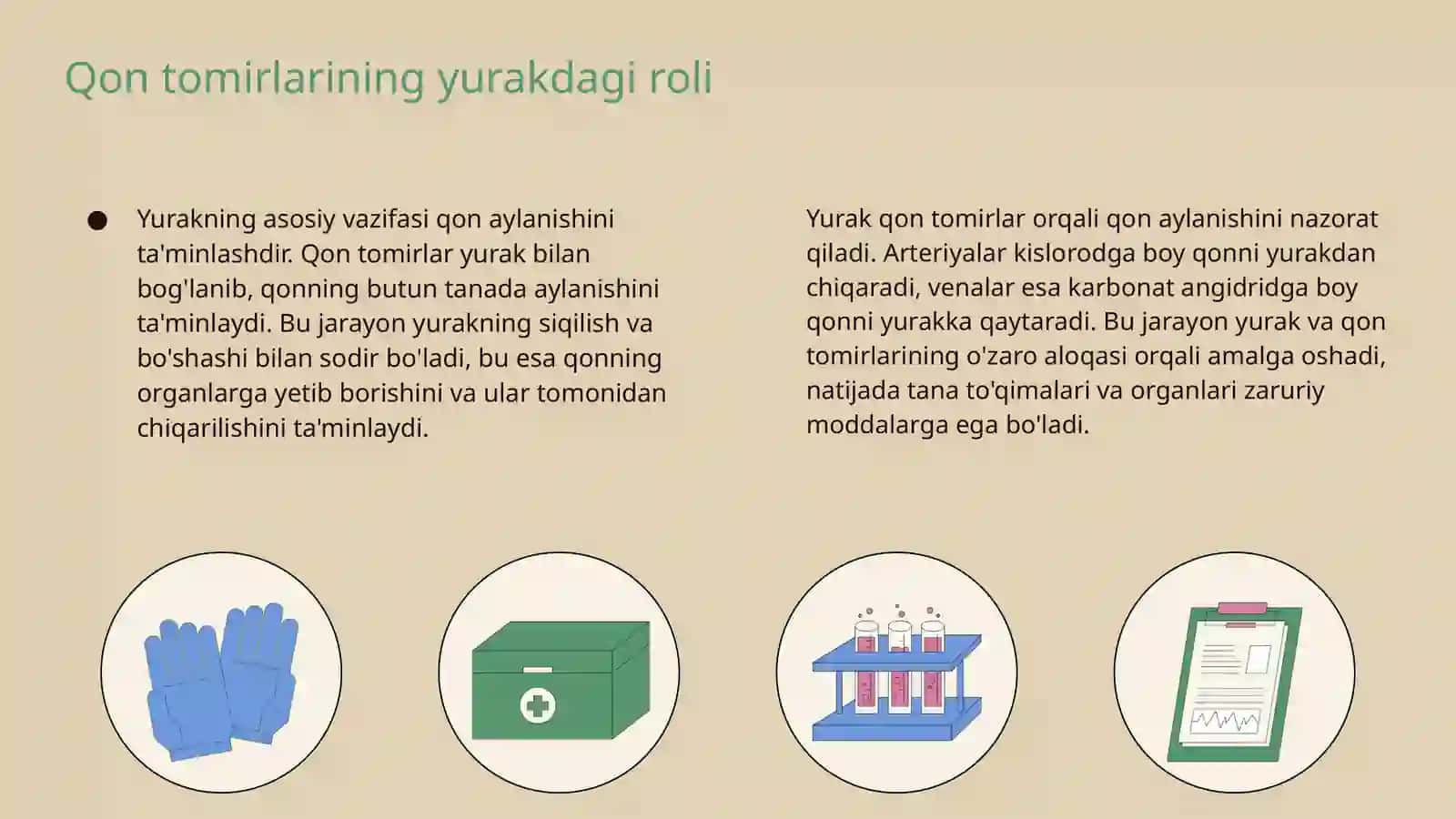 Qon tomirlar yurak bolmachalri qon tomirlarini bolinishi va qon tomirlarni bolinmalari 3